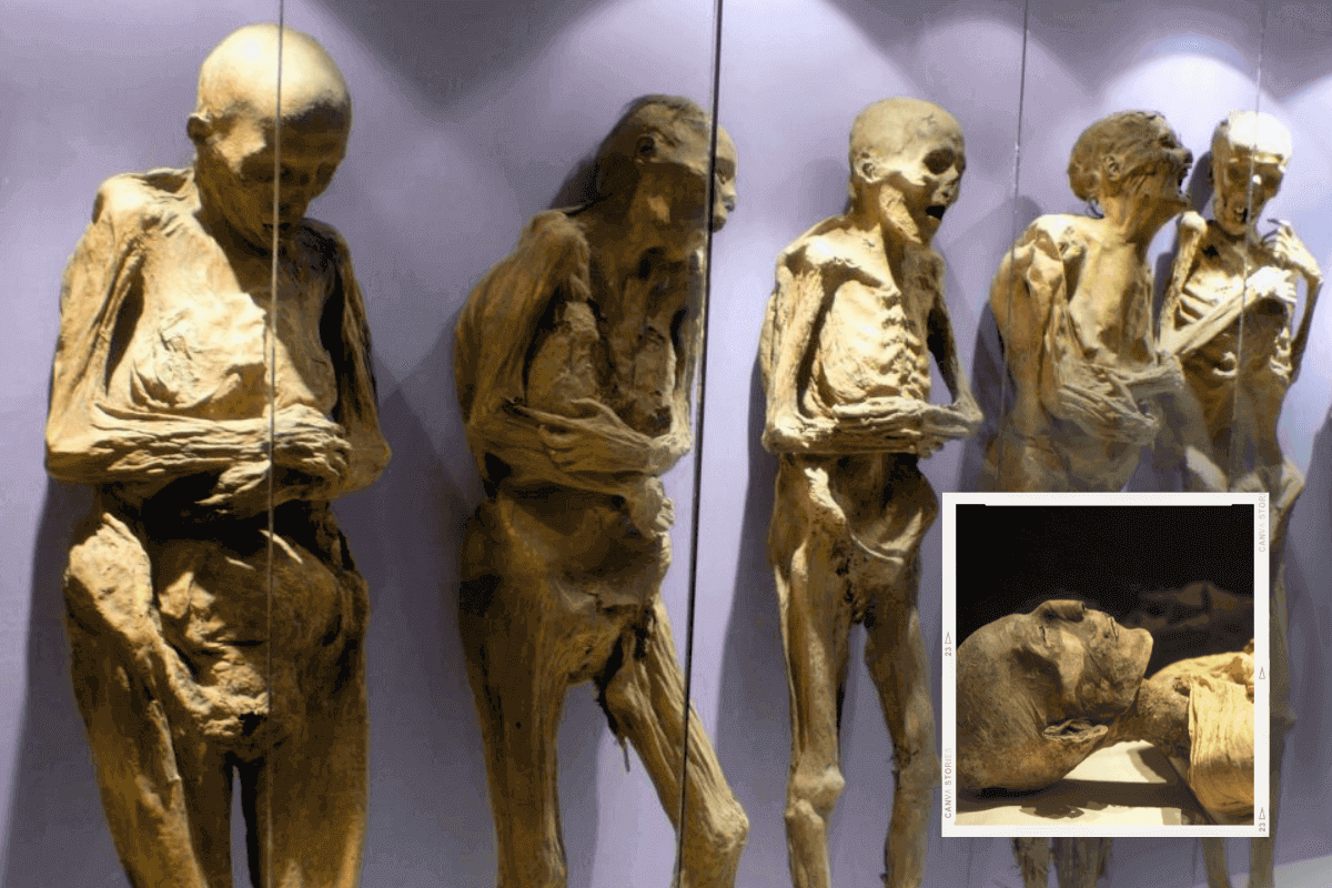 На мумиях Гуанахуато обнаружены признаки жизни и возможные биологические опасности