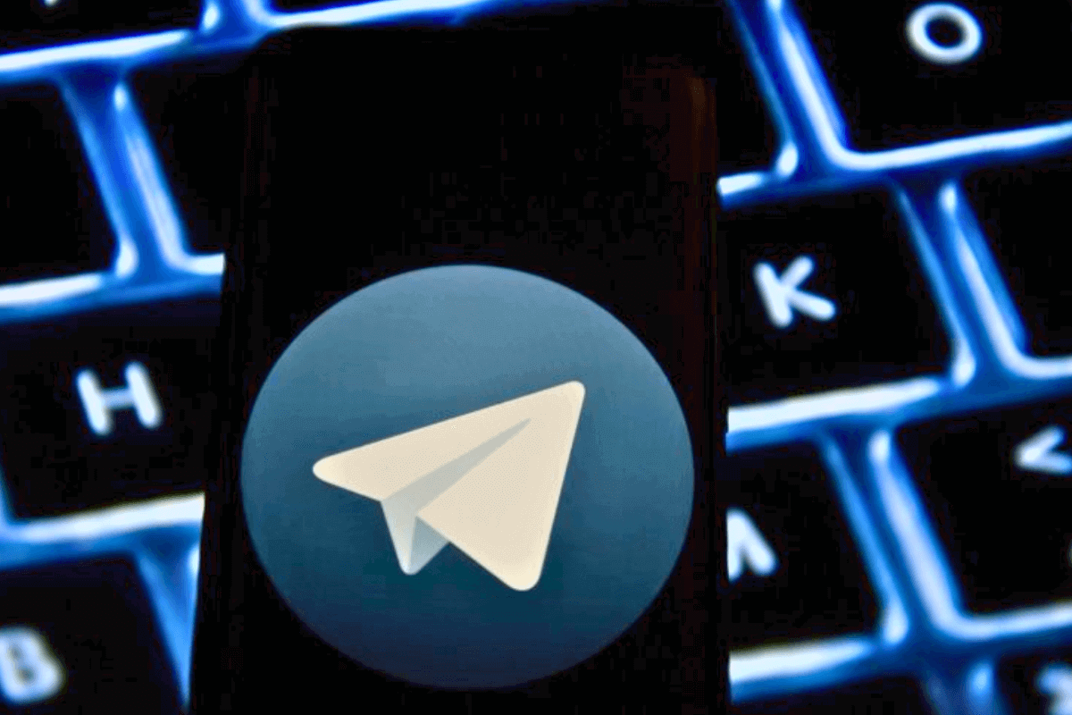 Telegram-чаты: место обитания потенциальных инвесторов