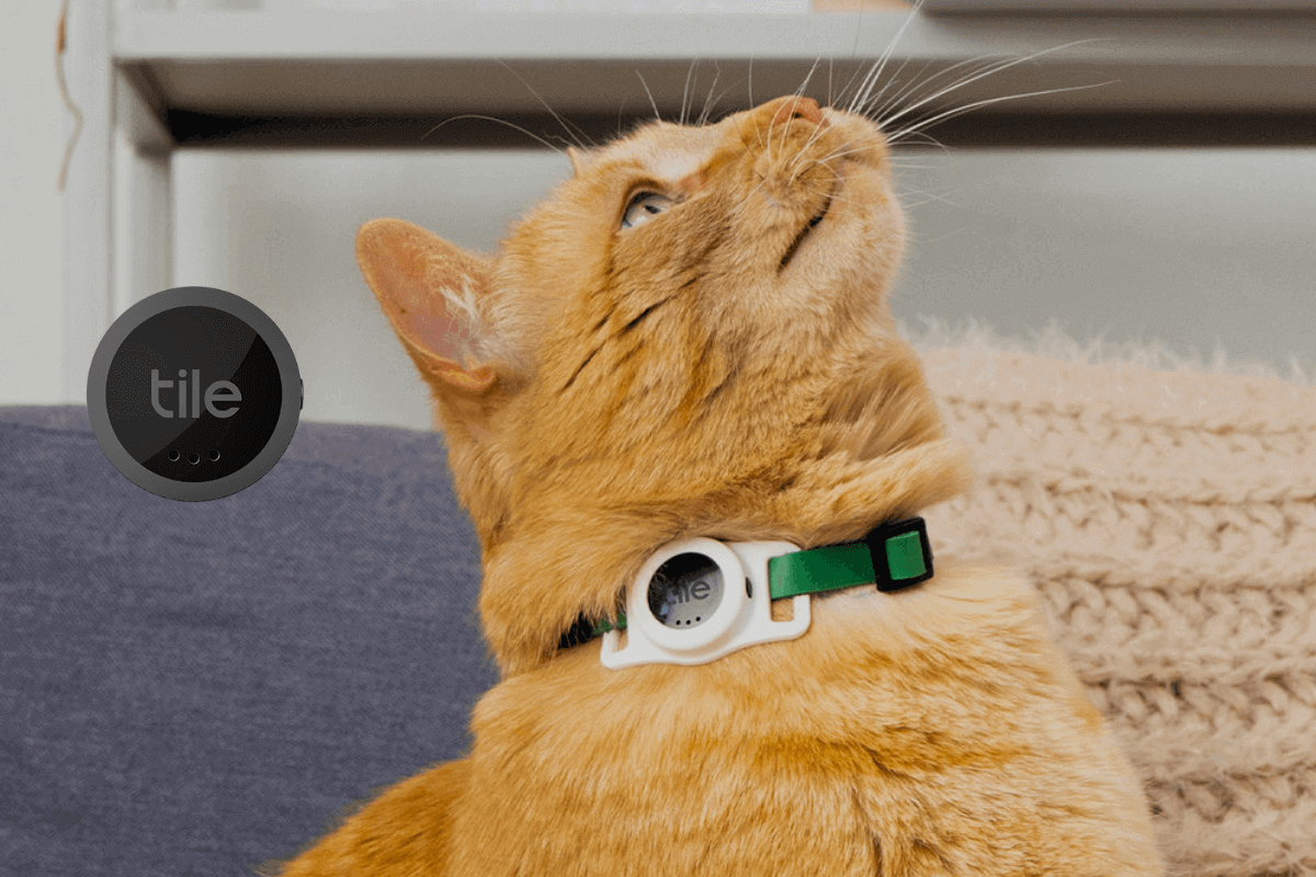 Tile Cat Tracker: анонсирован новый брелок для поиска кошек