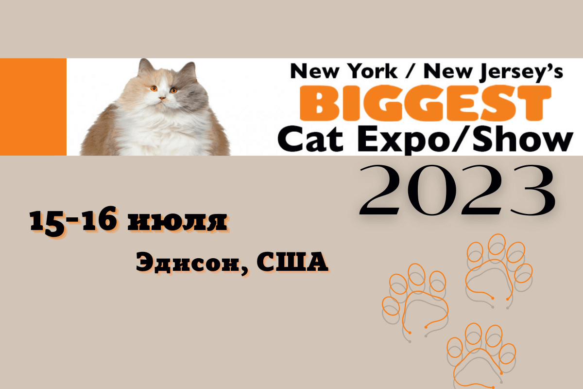 Международная выставка кошек Garden State Cat Expo & Show 2023