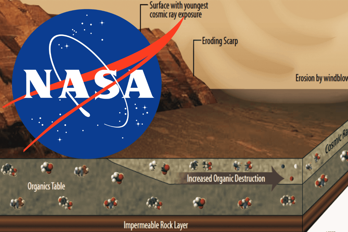 NASA Perseverance обнаружил органические молекулы на Марсе