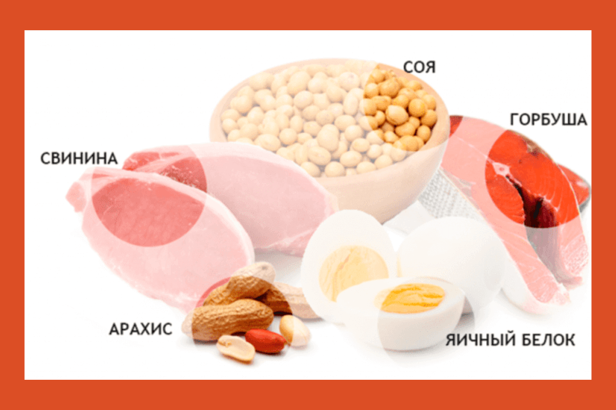 Содержание аминокислот в продуктах: где больше всего?