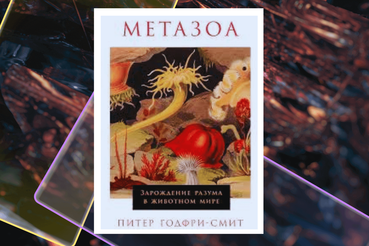 Топ-20 новых книг нон-фикшн (non-fiction): «Метазоа. Зарождение разума в животном мире», Питер Годфри-Смит