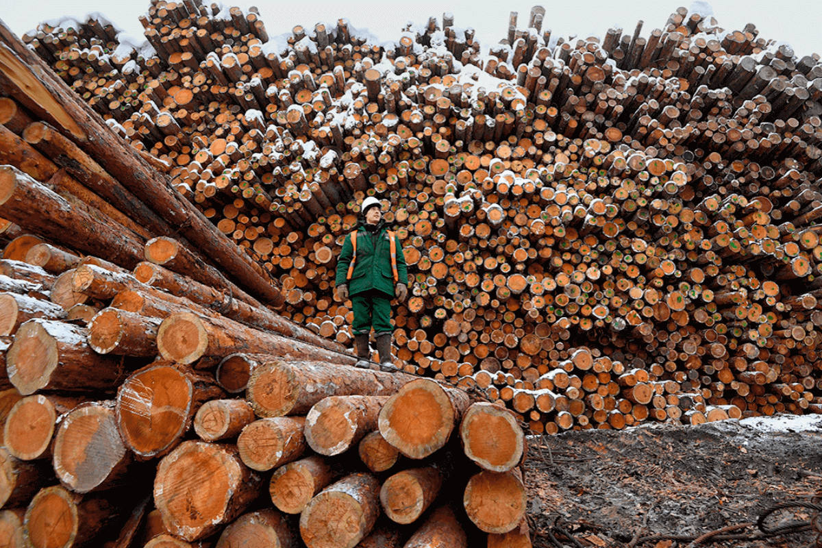 Главные мировые экспортеры «леса-кругляка»