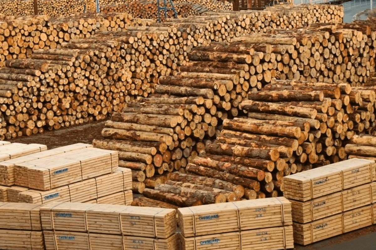 Крупнейшие страны-экспортеры лесной продукции