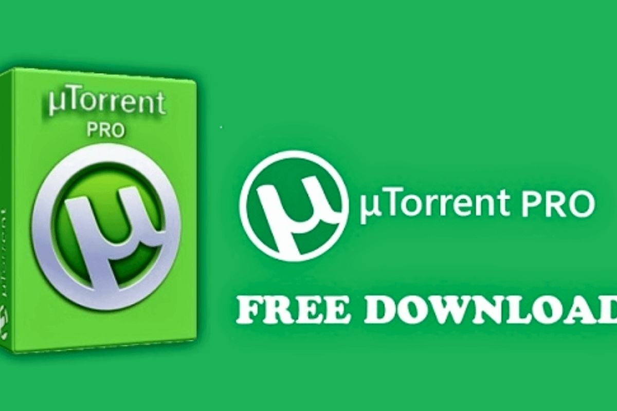 Лучшие торрент-трекеры и торрент-сайты: TorrentDownloads.pro — редкий контент, который вы нигде больше не найдете