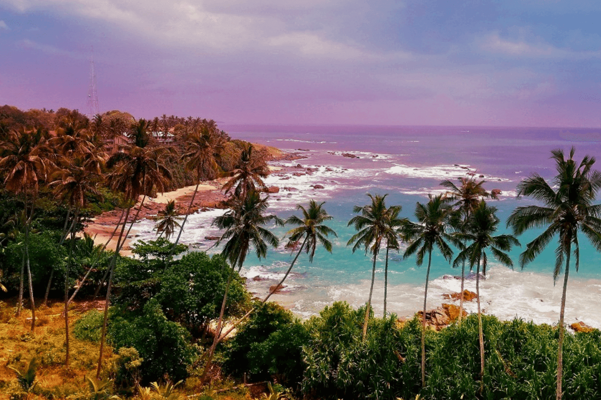 Погода шри ланка апрель 2024. Тангалле Шри Ланка. Тангалле пляж. Остров Цейлон. Правительство Шри Ланки.