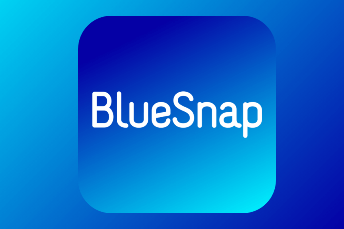 20 лучших мерчант-сервисов для приема платежей на сайте: BlueSnap