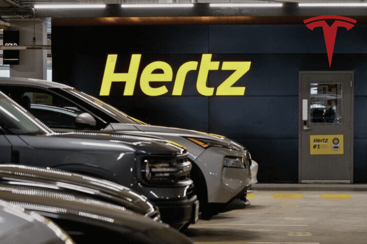 Hertz несет убытки из-за покупки электромобилей Tesla