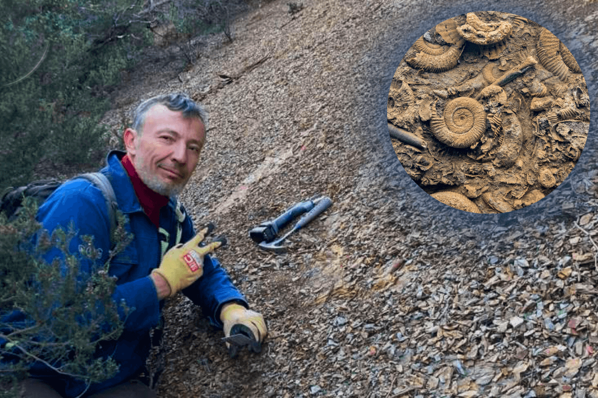 Уникальный ископаемый пласт нашли ученые во Франции