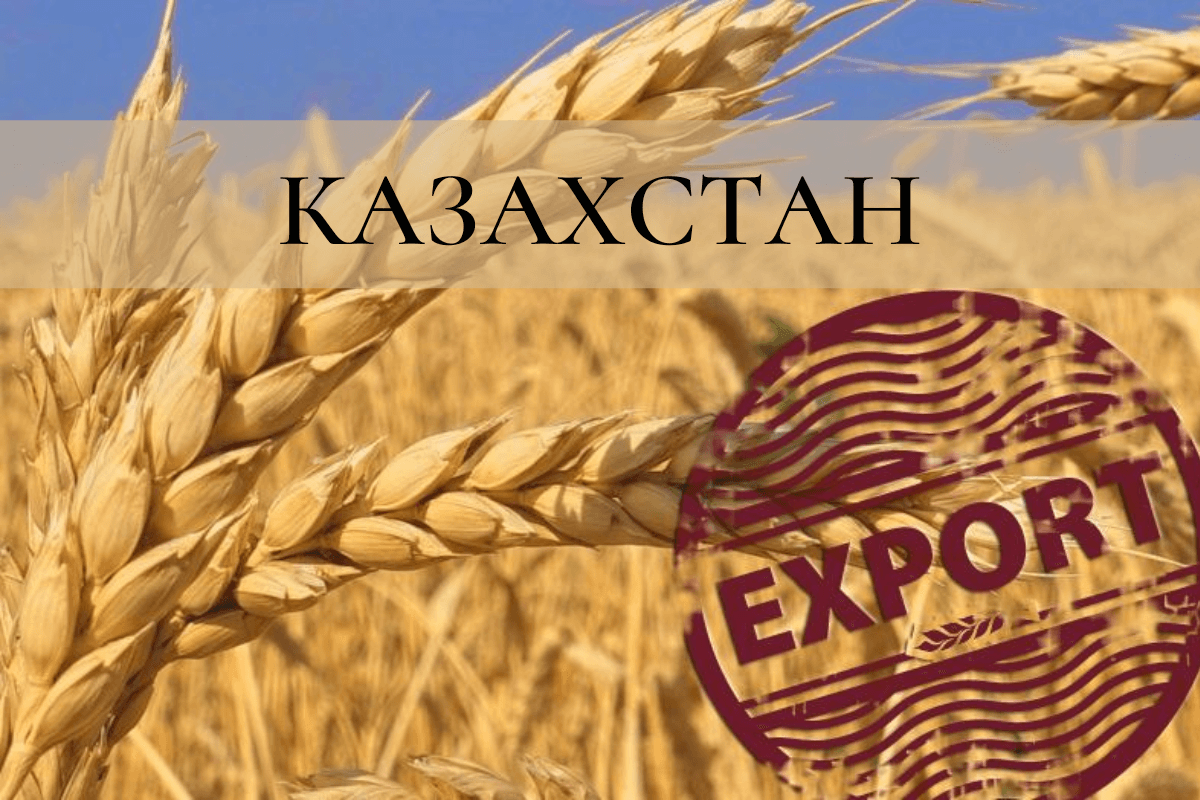 Казахстан – экспортер зерна